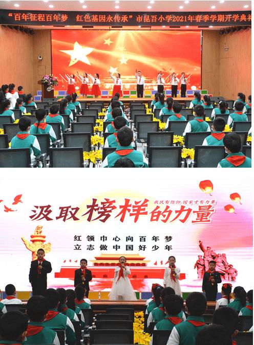 探索罗汉松什么时候修剪造型比较好?,共享知识的星球